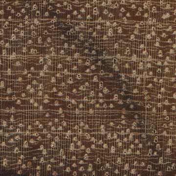 Квинвуд - торец доски – волокна древесины