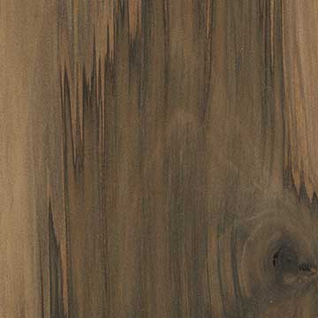 Ликвидамбар смолоносный (Liquidambar styraciflua) – древесина под лаком