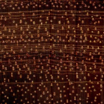 Вамара - торец доски – волокна древесины