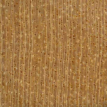 Жёлтое сердце (Euxylophora paraensis) – торец доски – волокна древесины, увел. 10х