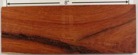 Бирманский падук – Pterocarpus macrocarpus