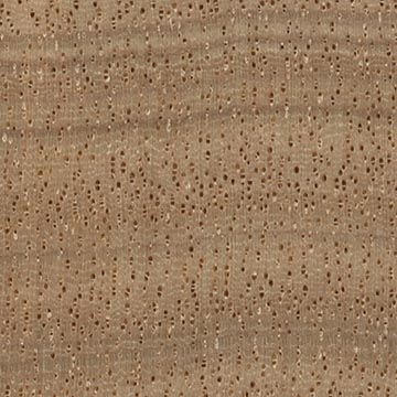 Анегри – волокна древесины, увел. 10х