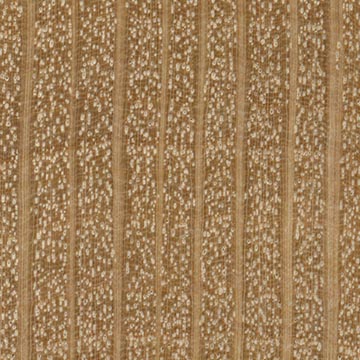 Граб обыкновенный – волокна древесины (увеличено)