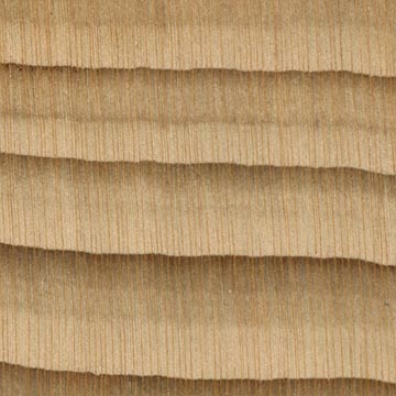 Кедр ливанский – волокна древесины, увел. 10х