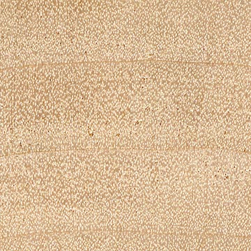 Конский каштан голый – волокна древесины, увел. 10х