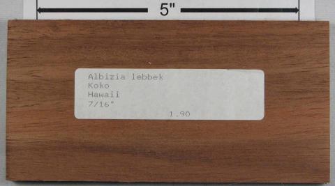 Альбиции леббек – Albizia lebbeck