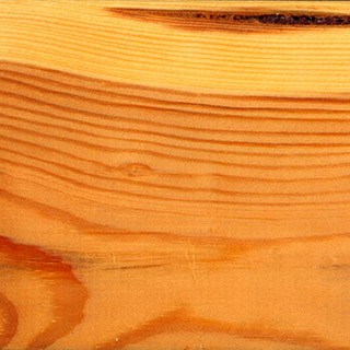 Текстура древесины (доска)