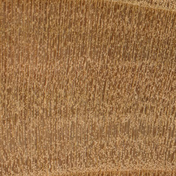Черешня – волокна древесины (увеличено)