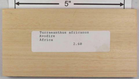 Аводире – Turraeanthus africanus