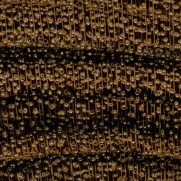 Бокоте – волокна древесины (увеличено)