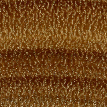 Аргентинский бакаут – волокна древесины (увеличено)