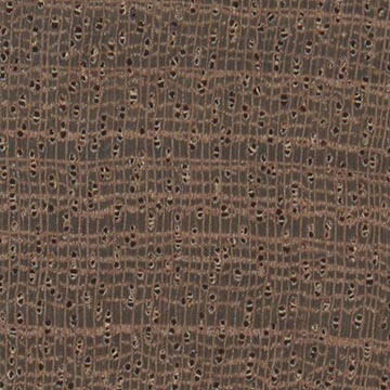 Сапеле – волокна древесины, увел. 10х