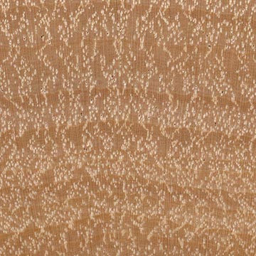Граб каролинский – волокна древесины (увеличено)